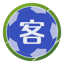 西班牙球迷队