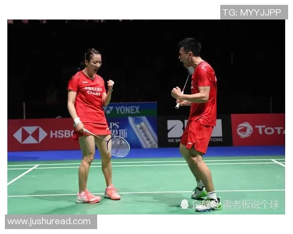 赛后分析:杭州羽毛球队与武汉羽毛球队的战术对决与启示